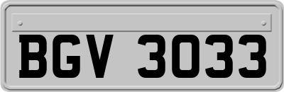 BGV3033