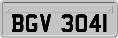 BGV3041