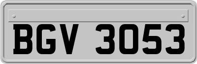 BGV3053