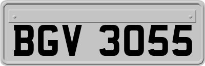 BGV3055