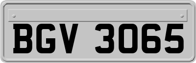 BGV3065