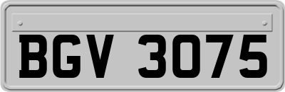 BGV3075
