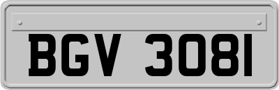 BGV3081