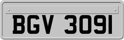 BGV3091
