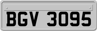 BGV3095