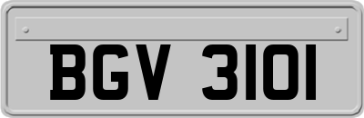 BGV3101