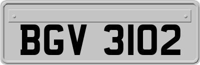 BGV3102