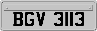 BGV3113