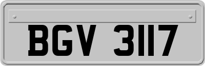 BGV3117