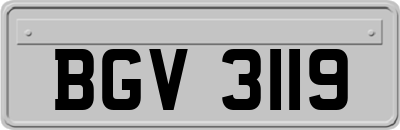 BGV3119