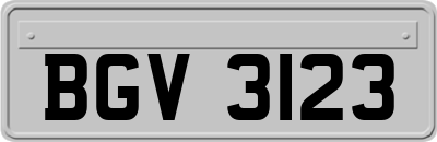 BGV3123