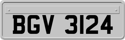 BGV3124