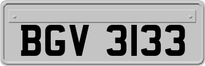 BGV3133