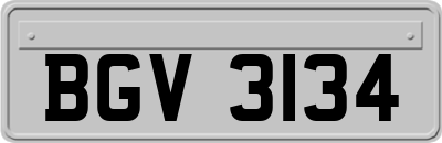 BGV3134