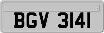 BGV3141