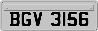 BGV3156