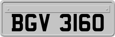 BGV3160