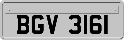 BGV3161
