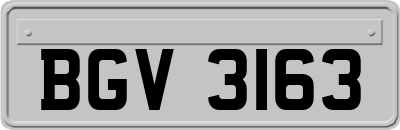 BGV3163