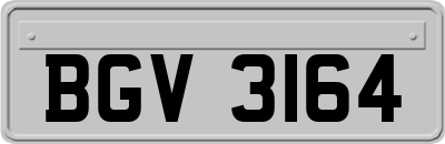 BGV3164