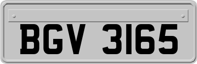 BGV3165