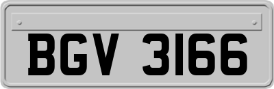 BGV3166