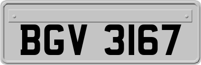 BGV3167