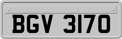 BGV3170