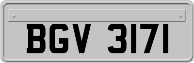 BGV3171