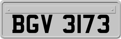 BGV3173