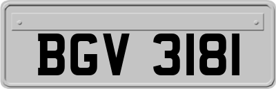 BGV3181