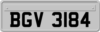 BGV3184