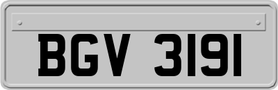 BGV3191