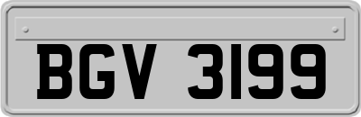 BGV3199