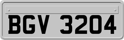 BGV3204