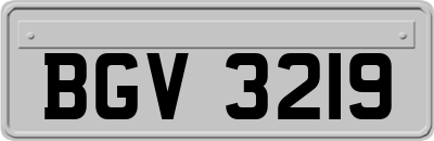 BGV3219
