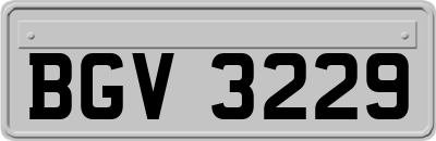 BGV3229
