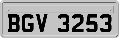BGV3253