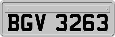 BGV3263