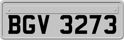 BGV3273