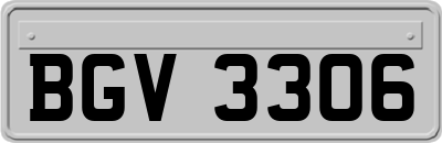 BGV3306