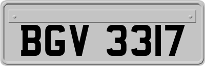 BGV3317