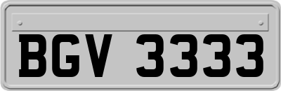 BGV3333