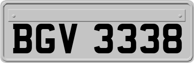 BGV3338