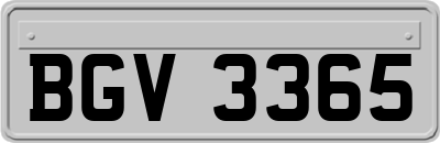 BGV3365