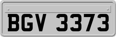 BGV3373