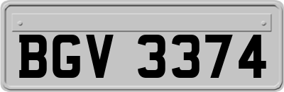 BGV3374
