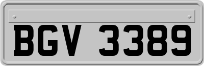 BGV3389