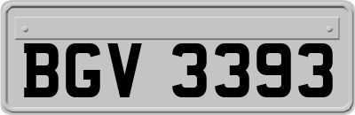 BGV3393