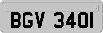 BGV3401